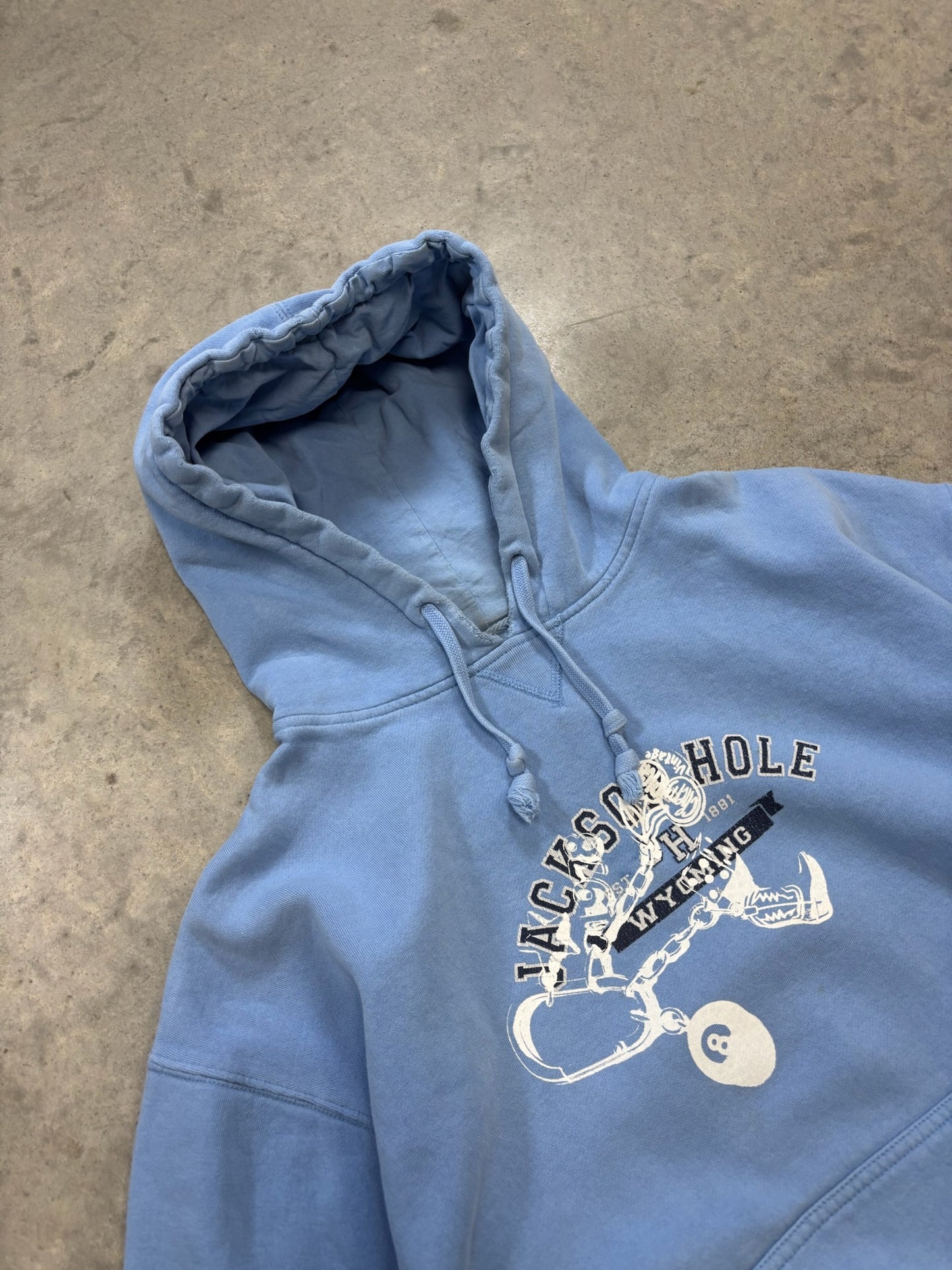 Cherry Pride ★ 00s Hoodie (L)